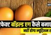 अंडा उबालने का क्या है सही तरीका? पीरियोडिक कुकिंग से कैसे रहेगा न्यूट्रिशन बरकरार! आप भी जानें method