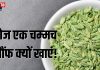 खाने के बाद आप भी चबाते हैं सौंफ? फायदे जानकर रह जाएंगे हैरान
