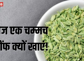 खाने के बाद आप भी चबाते हैं सौंफ? फायदे जानकर रह जाएंगे हैरान