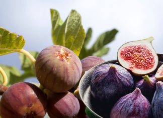 अंजीर को तो छोड़ ही दीजिए… इसकी पत्तियां खाकर देखिए, सेहत को होंगे 6 फायदे!