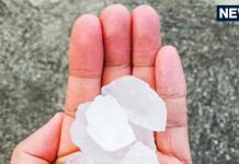 Fitkari Ke Upay: फिटकरी के इस छोटे से उपाय से भरी रहेगी आपकी तिजोरी, घर में हमेशा बनी रहेगी शांति