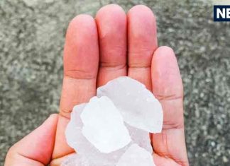 Fitkari Ke Upay: फिटकरी के इस छोटे से उपाय से भरी रहेगी आपकी तिजोरी, घर में हमेशा बनी रहेगी शांति