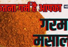 गरम मसाले को क्यों कहते हैं ‘गरम मसाला’? खाते सब हैं, पर 99% लोग नहीं जानते असली वजह