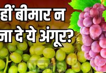 अंगूरों को सिर्फ पानी से धो कर तो नहीं खा रहे आप? शरीर में जहर बन जाएगा इसका केमिकल, जानें साफ करने का सही तरीका