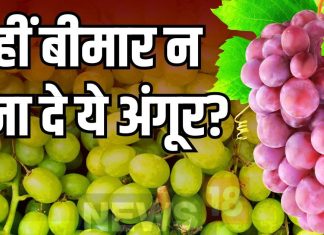 अंगूरों को सिर्फ पानी से धो कर तो नहीं खा रहे आप? शरीर में जहर बन जाएगा इसका केमिकल, जानें साफ करने का सही तरीका
