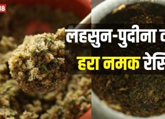 कभी चखा है ‘हरा नमक’? रिफ्रेशिंग फ्लेवर से है भरपूर, घर पर इस तरह बनाएं पहाड़ी लून, देखें रेसिपी