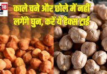 काले चने और छोले में लग जाते हैं घुन कीड़े, डिब्बे में डाल दें ये 3 चीजें, महीनों नहीं होंगे खराब, ऐसे करें स्टोर