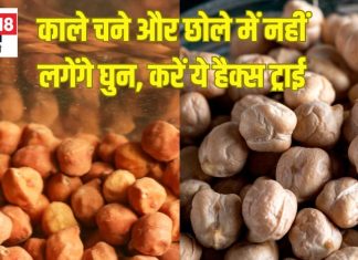 काले चने और छोले में लग जाते हैं घुन कीड़े, डिब्बे में डाल दें ये 3 चीजें, महीनों नहीं होंगे खराब, ऐसे करें स्टोर