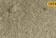 बालों की समस्या हो या Urine Infection, इस पाउडर से तुरंत मिल सकता है छुटकारा, ऐसे करें सेवन