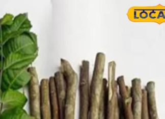 बस 5 रुपये में दांत होंगे बुलेटप्रूफ!कैविटी, कीड़े, दर्द और बदबू सब होंगे गायब