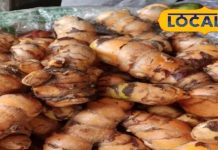 घाव हो या गठिया, सब ठीक हो जाएगा! बस सुबह खाली पेट चबाएं ये चीज, ताजगी और फुर्ती से भर जाएगा शरीर