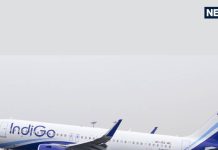 इंडिगो वैलेंटाइन ऑफर: 50% तक की छूट और फ्लैश सेल का लाभ उठाएं