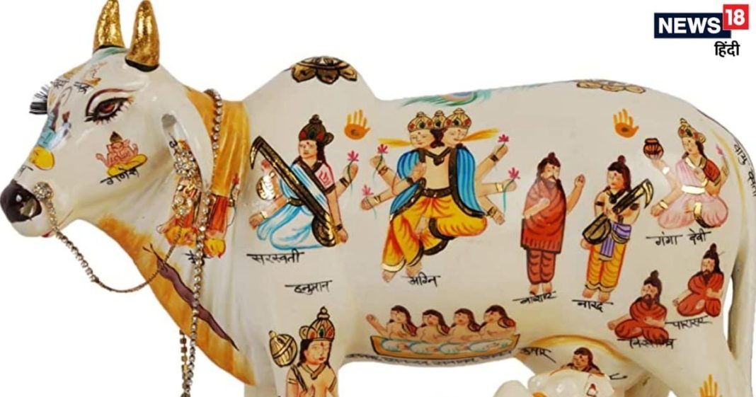 kaamdhenu-cow-2025-02-fc8de92a171433e3d6ca24b348e635fc-16x9.jpg