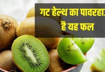 गट हेल्थ के लिए वरदान है यह भद्दा सा फल, शरीर को बीमारियों के खिलाफ बना देता है फौलाद, हार्ट पर जबर्दस्त असर