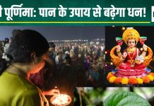 Maghi Purnima Upay: माघी पूर्णिमा की शाम करें पान के पत्ते का उपाय, धन से भर जाएगी तिजोरी, हमेशा बनी रहेगी माता लक्ष्मी की कृपा!