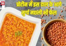 प्रोटीन में इस दाल के आगे मुर्गा मटन मछली भी फेल, फायदे जान होंगे हैरान