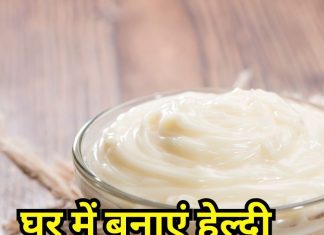 घर में बनाएं लो-कैलोरी मेयोनीज, वजन घटाने के लिए टेस्ट से नहीं करना पड़ेगा समझौता, जानें रेसिपी