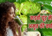 बेशक कड़वा है यह जूस लेकिन इसके हर घूंट से गले में उतरती है अमृत की बूंदें, स्मोकिंग से बर्बाद कोशिकाओं को देता है नया जीवन, अंदर से मजबूती