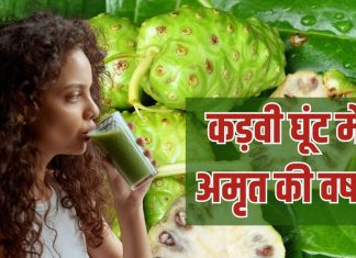बेशक कड़वा है यह जूस लेकिन इसके हर घूंट से गले में उतरती है अमृत की बूंदें, स्मोकिंग से बर्बाद कोशिकाओं को देता है नया जीवन, अंदर से मजबूती