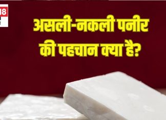 इन 6 तरीकों से घर बैठे करें असली-नकली पनीर की पहचान