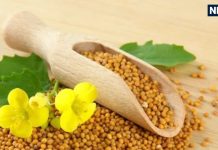 Peeli Sarson ke Upay: बेहद चमत्कारी है पीली सरसों, इन आसान उपायों की मदद से दूर होगी हर परेशानी
