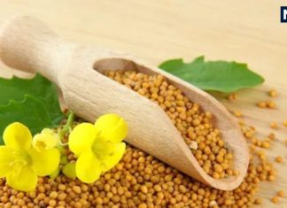 Peeli Sarson ke Upay: बेहद चमत्कारी है पीली सरसों, इन आसान उपायों की मदद से दूर होगी हर परेशानी