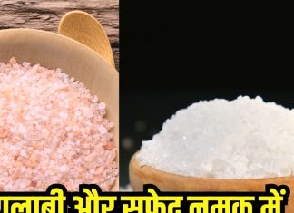 गुलाबी या सफेद नमक! क्या है दोनों में अंतर? सेहत के मामले में इसको चुनें