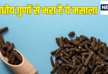 आयुर्वेद का खजाना है ये काली लकड़ी, कूट-कूट कर भरे हैं इसमें औषधीय गुण, किडनी रखे हेल्दी, पेशाब की समस्या में रामबाण