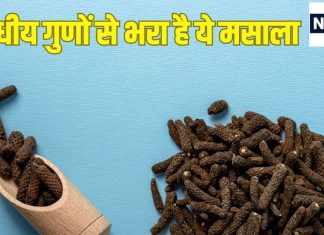 आयुर्वेद का खजाना है ये काली लकड़ी, कूट-कूट कर भरे हैं इसमें औषधीय गुण, किडनी रखे हेल्दी, पेशाब की समस्या में रामबाण