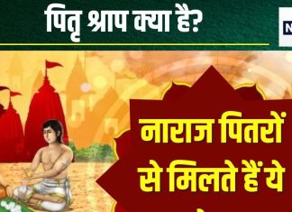 Pitra Shrap: पितरों के श्राप से आती हैं ये 5 बड़ी परेशानियां, संतान का मुंह तक नहीं देख पाता इंसान, जानें और कौन से कष्ट झेलने पड़ते हैं
