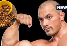 सिर्फ 10 दिनों में घोड़े जैसी ताकत आ जाएगी, अगर कर लिया इस देसी चीज का सेवन ! छलांग मारते फिरेंगे आप