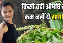 इन हरे पत्तों को साग नहीं औषधि कहिए… सेवन करने से शरीर में तेजी से बढ़ेगा खून! हड्डियों में भी आएगी मजबूती