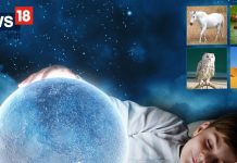 सपने में सफेद घोड़ा या ऊंट दिखना करता है बड़े इशारे, 4 तरह के जीव दिखना शुभ या अशुभ? जानें क्या कहता है स्वप्न शास्त्र