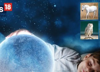 सपने में सफेद घोड़ा या ऊंट दिखना करता है बड़े इशारे, 4 तरह के जीव दिखना शुभ या अशुभ? जानें क्या कहता है स्वप्न शास्त्र