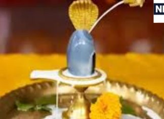 Maha Shivratri 2025: इस तरह रुद्राभिषेक से होगा दुश्मनों का नाश और अखंड लक्ष्मी की प्राप्ति! जानें रुद्राभिषेक के नियम