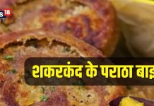 Sweet Potato Paratha Bites: शकरकंद से मिनटों में बनाएं हेल्दी लंच, बच्चे देखते ही उछल पड़ेंगे, मजेदार है ये रेसिपी