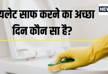 Toilet Cleaning: किस दिन साफ करें टॉयलेट? सप्ताह के ये 2 दिन होते हैं बेस्ट, राहु देगा इतना पैसा रंक से बन जाएंगे राजा!