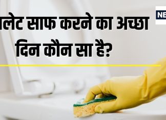 Toilet Cleaning: किस दिन साफ करें टॉयलेट? सप्ताह के ये 2 दिन होते हैं बेस्ट, राहु देगा इतना पैसा रंक से बन जाएंगे राजा!