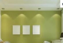 Vastu Tips for Interior: घर के सभी हिस्सों सही रंग का चयन लाता है खुशियां ! जानें किस हिस्से में कौन सा रंग होना चाहिए