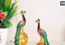 Vastu Tips: घर में लगाएं मोर की ये मूर्ति कभी नहीं रहेगी पैसों की कमी, किस्मत भी खूब चमकेगी