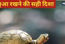 Copper Turtle Vastu Tips: किस धातु का कछुआ घर में रखना होता है शुभ, इसे रखने का भी जान लें सही स्थान