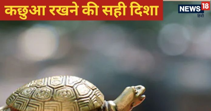vastu-tips-for-tortoise-2025-01-060d194ed3d303bba863f64322e9bb19-16x9.jpg