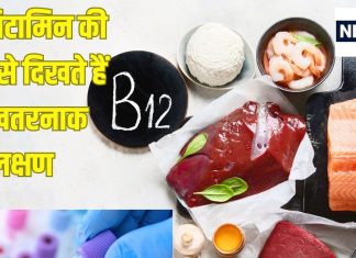शरीर तोड़ देती है इस विटामिन की कमी, निचोड़ लेगी मांसपेशियां, बॉडी में कम होने पर दिखते हैं ये 10 खतरनाक लक्षण