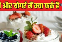 योगर्ट के फायदे: प्रोटीन, कैल्शियम और गट हेल्थ के लिए बेहतरीन विकल्प