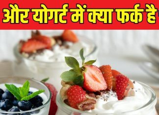 योगर्ट के फायदे: प्रोटीन, कैल्शियम और गट हेल्थ के लिए बेहतरीन विकल्प