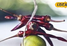 आज भी टोटकों में विश्वास करते हैं लोग, भाग्य बढ़ाने और किस्मत से मानते संबंध