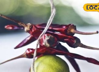 आज भी टोटकों में विश्वास करते हैं लोग, भाग्य बढ़ाने और किस्मत से मानते संबंध