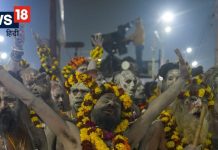 आसमान से दिखा अद्भुत नजारा, बसंत पंचमी पर साधु और श्रद्धालुओं ने किया तीसरा अमृत स्नान, तस्वीरों ने बांधा समां! – Bharat.one हिंदी