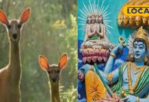 कब है जया एकादशी का व्रत? इस दिन ऐसे करें पूजा, परेशानियां होंगी खत्म, मोक्ष की होगी प्राप्ति!