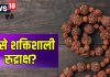 कितने मुखी रुद्राक्ष होता है सबसे शक्तिशाली? किन लोगों को नहीं करना चाहिए धारण? पहनने से पहले जान लें जरूरी बातें